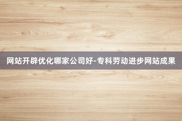 网站开辟优化哪家公司好-专科劳动进步网站成果