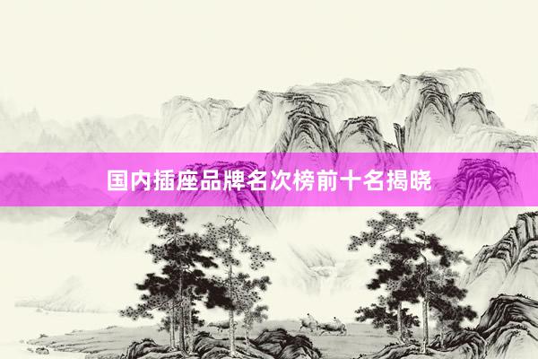 国内插座品牌名次榜前十名揭晓