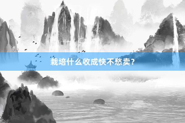 栽培什么收成快不愁卖？