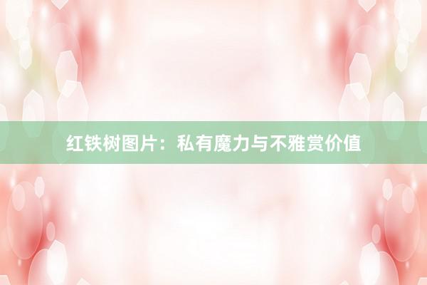 红铁树图片：私有魔力与不雅赏价值