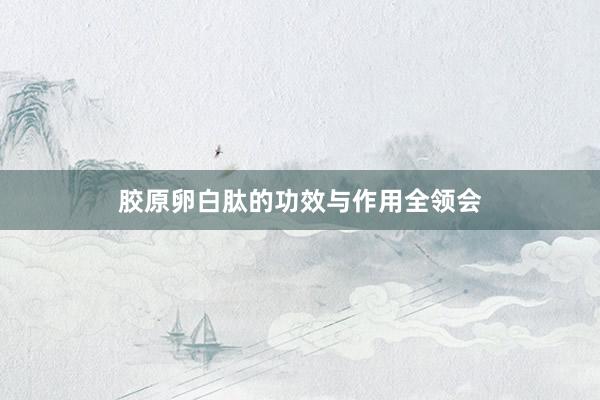 胶原卵白肽的功效与作用全领会