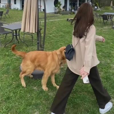 轮回现实